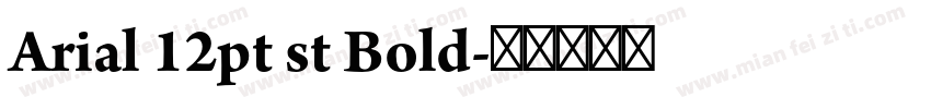 Arial 12pt st Bold字体转换